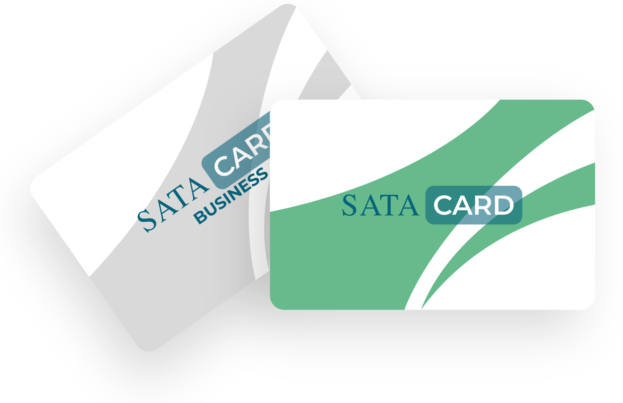 Le carte Satacard Classic e Business